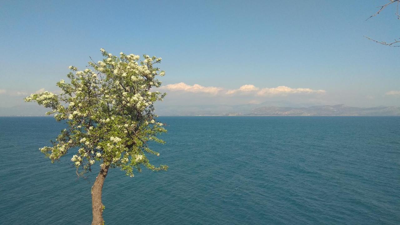 Appartamento Linamare Eolos
